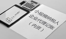 小规模纳税人企业代理记账（内资）