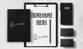 国税地税报到